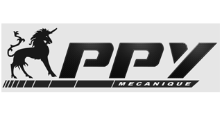 Logo PPY